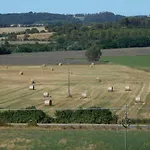 Gelsomino