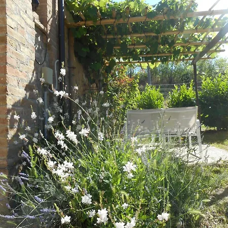 Gelsomino Buonconvento